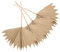 4 Pezzi Decorazioni Foglie Palma Secche Naturali per Matrimonio Foglie Dried per Compleanni e Feste Boho