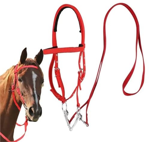 Pferdezaumzeug, verstellbar, Trense, Nasenriemen, Nylon, Zügel, weich gefüttert, Ausritt, Reitsportbedarf(L)