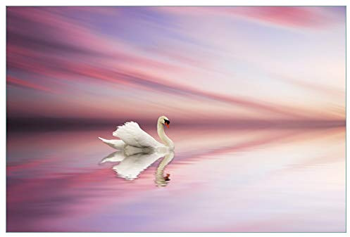 Wallario Küchenrückwand selbstklebend 90 x 60 cm, Motiv: Weißer Schwan im rosafarbenen See | Spritzschutz abwischbar & pflegeleicht