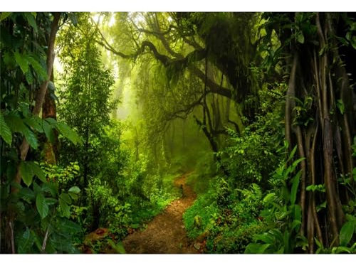 Xiaoterna 3x2m Tropischer Dschungel Wald Kulisse Märchenwald Sonnenlicht Fotografie Hintergrund Frühling Zauberwald Kulisse Geburtstag Party Dekor Kinder Porträtfotografie Studio Requisiten