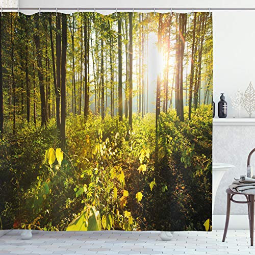 ABAKUHAUS Wald Duschvorhang, Sonnenstrahlen Woods Laub, Stoffliches Gewebe Badezimmerdekorationsset mit Haken, 175 x 200 cm, Braun Grün Gelb