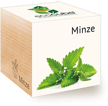 Feel Green Ecocube Minze, Idea de Regalo sostenible (100% Eco Friendly), Grow Your Own/Anzuchtset, Plantas en Cubos de Madera, Fabricado en Austria