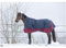 Equi-Theme Winterdecke Highneck 300g Füllung TYREX 1200D EQUITHÈME Marineblau/Bordeauxrot 145cm