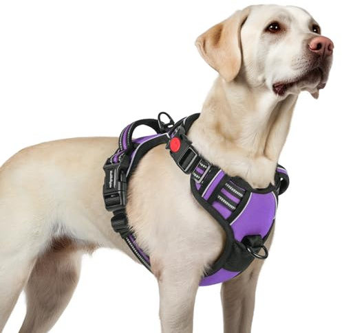 rabbitgoo Hundegeschirr Grosse Hunde Leichtes Anlegen, L, Lila | Anti Zug, Ohne Kopfdurchzug, Halsverschluss mit Sicherung, 2 D-Ringe, Weich Gepolstert, Reflektierend für Gassi & Training