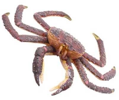 Abaodam 1stk Simulationskrabbenmodell Krabben-Ornament Simulation Von Meerestieren Tiermodell Krabbenförmige Dekoration Emulierte Ozeantierverzierung Plastik