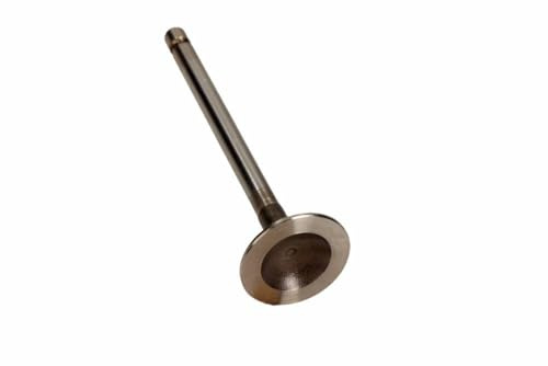 Freccia R6470/SCR Einlaßventil