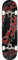 TITUS Skateboards-Complete Stained Triple-Schranz, Black-Stained, 8, Komplett Board, Holzboard aus 7 Schichten Ahornholz, Skateboard für Jugendliche Erwachsene, Anfänger Profis, Männer Frauen