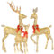 Beleuchtete Weihnachtsdekoration Hirsch 3 Stück, HOYECHI Beleuchtete Weihnachtsdekoration Rentier Familie Set für Innen Außen Vorgarten Veranda mit LED, Stecker, Verlängerungskabel, Bodenpfähle-Gold