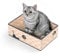 Conlun Kratzbrett Katze mit Box, Langlebige Kratzpappe für Katzen, Beidseitig Nutzbar, Interaktive Öffnungen, Sauberes Kratzmöbel für Wohnungskatzen (1 Stück, Mittel, Schachbrett)