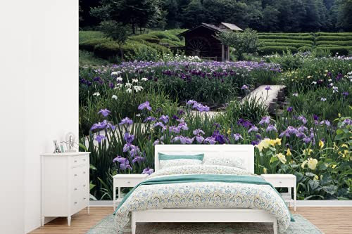 Selbstklebend Tapete Wandpapier Wandaufkleber Fototapete Tapeten Wanddeko 415x300 cm Japanische Schwertlilienblüten - Garten - Pfad