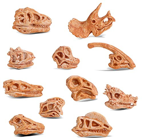 cobee Mini Dinosaurier Kopf Skelett Spielzeug, 11 STÜCKE Prähistorischer Tierschädel für Sandkasten Dino Kopf Modell Dinosaurier Knochen Spielsets Dinosaurier Figuren Puppenhaus Dekoration für Kinder