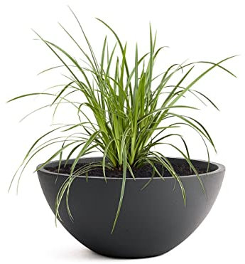 Pflanzwerk® Pflanzkübel Pflanzschale Bowl Ø 45cm Anthrazit *Frostbeständige Blumenschale* *Premiumqualität* *Lotus-Effekt Imprägnierung*