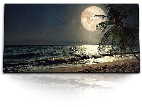 Paul Sinus Kunstdruck Bilder 120x60cm Strand bei Nacht Vollmond Palme Meer Sternenhimmel