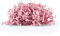 SizzlePak als Füllmaterial – 1 kg – Verpackungsmaterial für Geschenk, Geschenkbox, Präsentkorb, Holzkiste, Flaschen an Weihnachten – geschreddertes Papier für Osternest, Pakete, Schultüte - ROSA