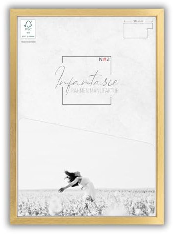 Infantasie 'N°2' Bilderrahmen 50x120 handgefertigt nach Maß | Gold | MDF Holz-Design Collage Rahmen inkl. Kunstglas und Metall Aufhänger (Querformat & Hochformat)