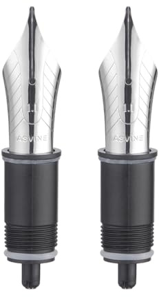 Set of 2 Replacement Fountain Pen Nibs Number 8, Compatible with C2000, V800 and C80, Silver Color