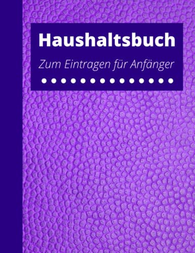 Haushaltsbuch zum Eintragen für Anfänger: Haushaltsbuch Einnahmen Ausgaben Im Überblick