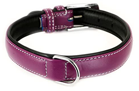 Monkimau Hundehalsband aus Leder Halsband für Hunde Lederhalsband weich gepolstert (M, lila)