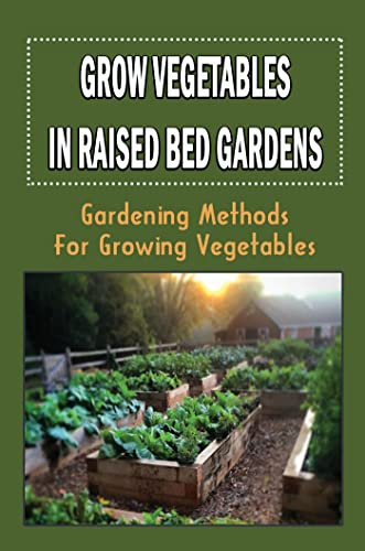 Grow Vegetables In Raised Bed Gardens: Gardening Methods For Growing Vegetables