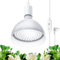 Barrina Lampe à LED pour Plantes avec Minuterie et Suspension, 25W 5000K, 4H/9H/14H Minuterie, Lampe LED à Spectre Complet Plantes d'intérieur pour Semis, Succulentes, Cactus, Croissance