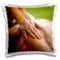 3dRose Fairmont Kea Lani Resort-Spa-Maui-Hawaii-Us12 Sws0026-Stuart Westmorland Design-Kissenbezug, Weiß, 16 x 16