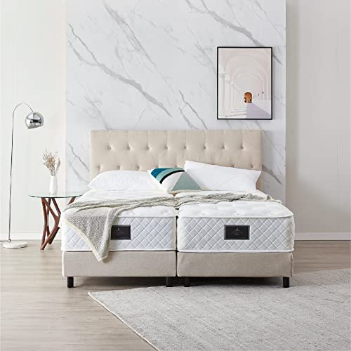 De RUCCI Boxspringbett Modell 211 mit Taschenfederkernmatratze, Bestes Preis-Leistungsverhältnis, DREI Farben und 4 Maße wählbar, Lager, einfache Montage (200 x 200 cm, Beige)