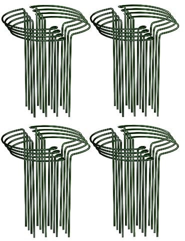 Albert Austin Pack of 16 Plant Supports for Garden Metal Frame Plant Support Stakes Easy to Install Protects Plant Stems Flower Supports for Plants Outdoor Vegetable Tomato Rose Hydrangea (25 x 40cm)