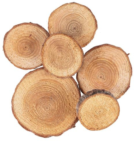 Ideen mit Herz Deko-Baumscheiben | verschiedene Größen | 36g | Ø 2,2 cm bis 5,5 cm, 0,5 cm stark | Holzscheiben klein | Astscheiben zum Basteln und Dekorieren
