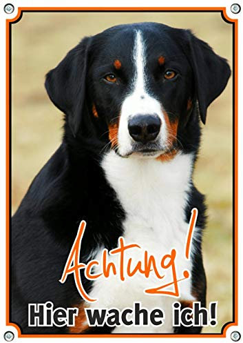 Petsigns Hundeschild Appenzeller Sennenhund - Hier WACHE ICH! stabiles Metallschild TOP Qualität, DIN A4