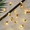 GUOCHENG Natural Conch Copper String Lights 20LEDs Battery Powered Real Beach Conchs Copper Wire Beach Theme Fairy Lights with Timer for Fish Net Mermaid Party Decoration (Brown Conch)