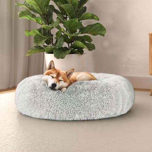 Italian Bed Linen Dreams weiches Hundebett für Hunde und Katzen, cremefarben, 60 x 60 cm