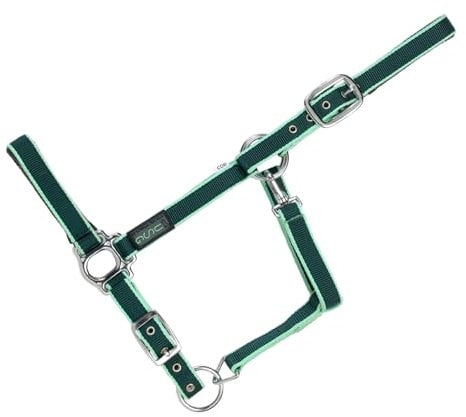 USG 15050007 Halfter, silberfarbene Beschläge, Soft unterlegt, Dunkelgrün/Hellgrün, Pony