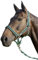 USG 15050007 Halfter, silberfarbene Beschläge, Soft unterlegt, Dunkelgrün/Hellgrün, Pony