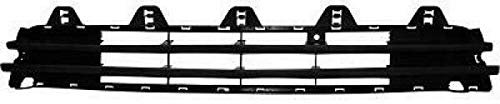 Diederichs 1875045 Grill Mitte