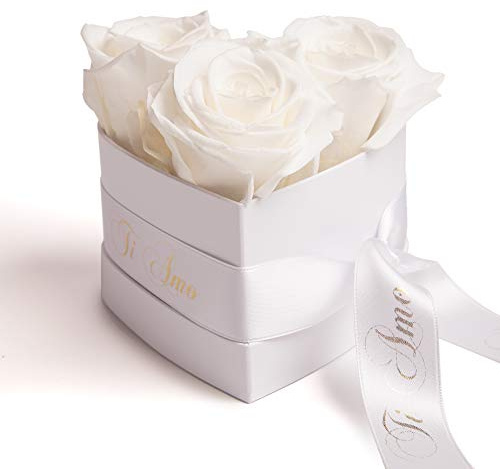 Infinity Rosenbox Herz - 10x12cm 3 konservierte Rosen haltbar 3 Jahre - Geschenk für Frauen - beste Freundin Geschenke (Ti Amo, Weiß)
