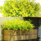 12 Lots Arbustes Artificiels Buissons Fleurs artificielles Résistantes Aux UV d'Extérieur Plantes Fleurs Décoratives pour Arrangement Floral, Centre de Table, Décoration de Jardin Maison (Jaune)