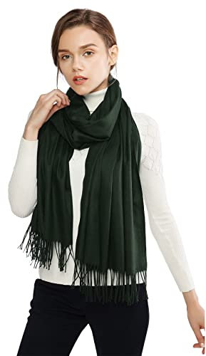 RIIQIICHY Sciarpa Verde Donna Pashmina Scialle Invernale Caldo Stola Elegante Cerimonia Regalo Donna
