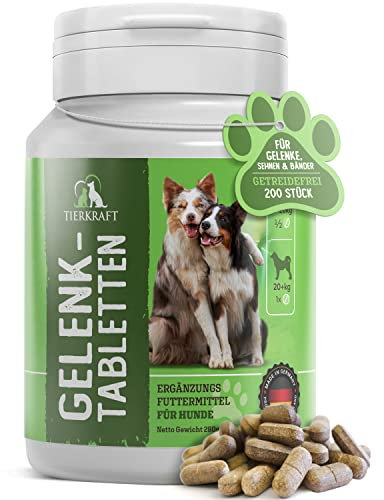 Tierkraft Gelenktabletten für Hunde - Made in Germany - Gelenktabletten Hund mit Grünlippmuschel - Teufelskralle Hund - MSM Hund & Grünlippmuschel Hund - 200 Gelenk- & Knochenschutz Tabletten