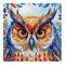 cukol cukol Eule Kreuzstich Set Vorgedruckt, Tiere Stickvorlagen Stickbilder Vorgedruckt Kreuzstich Stickpackungen Stickpackung Cross Stitch Embroidery Kit Stickset Sticken Set Erwachsene Anfänger