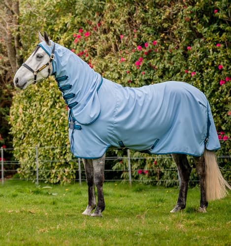 Horseware® Amigo® Ripstop Hoody 0g - Azurblau/Marineblau & Electric Blue, 54