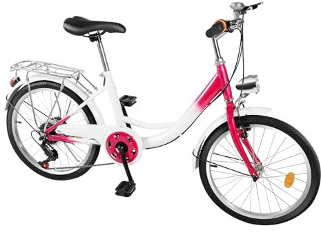 DioPaiB 20 Zoll Fahrrad Erwachsene, Citybike mit Vorderes Licht und Schutzblech, 6-Gang Fahrräder Höhenverstellbar 155-170cm, Fahrrad für Männer & Frauen, Rosa