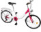 DioPaiB 20 Zoll Fahrrad Erwachsene, Citybike mit Vorderes Licht und Schutzblech, 6-Gang Fahrräder Höhenverstellbar 155-170cm, Fahrrad für Männer & Frauen, Rosa