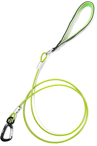 Mighty Paw Chew Proof Dog Lead | 1.8m / 6ft Metal Cable Leash, Non Chewable Braided Steel Cord with Padded Handle. Bite Resistant, Great for Small, Medium and Large Pets, and Teething Puppies (Green)