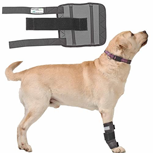 Nature Pet Medium Reha Bandage für den Vorderlauf des Hundes (M, Grau)