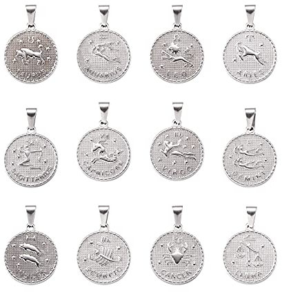 PandaHall 12 Stück Edelstahl Sternzeichen Charms Zwölf Sternbild Anhänger 29 x 25 x 3,2 mm Horoskop Charms für DIY Schmuckherstellung