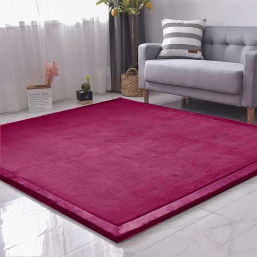 SETHEPACE Krabbelmatten fürs Kind, Weiche und Verdickte Krabbeldecke für Babys, Korallen-Samtteppich für Kinderzimmer, Sichere und rutschfeste Bodenmatten für Kinder (Traubenrot, 200 * 300)
