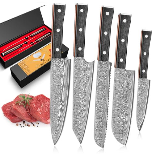 BILLION DUO Sharp Damascus Knife Set 5PCS, 67 Layer Damascus Steel, 12.3-20.5 cm Sharp Blade, Kitchen Knives Sets with Ergonomic Handle for Home Kitchen & Restaurant