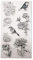 Clear Stamp Set - Natur I