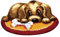 LOVIVER Knüpfteppich-Set Knüpfset Knüpfbild Erwachsene, Teppich zum Selberknüpfen, Hund