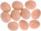 EQLEF Hühnerspielzeug Hühnereier, 10Pcs Kunststoff gefälschte Eier Künstliche Eier für Hennen Leichte Dummy Eier Unbreakable Realistische Eier Dekorative Eier für Ermutigung Legen Home Decor